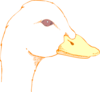 Duck Head Drawing Clip Art